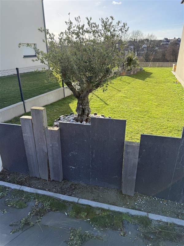 Bordure en dalles de schiste et traverses de bois devant un olivier