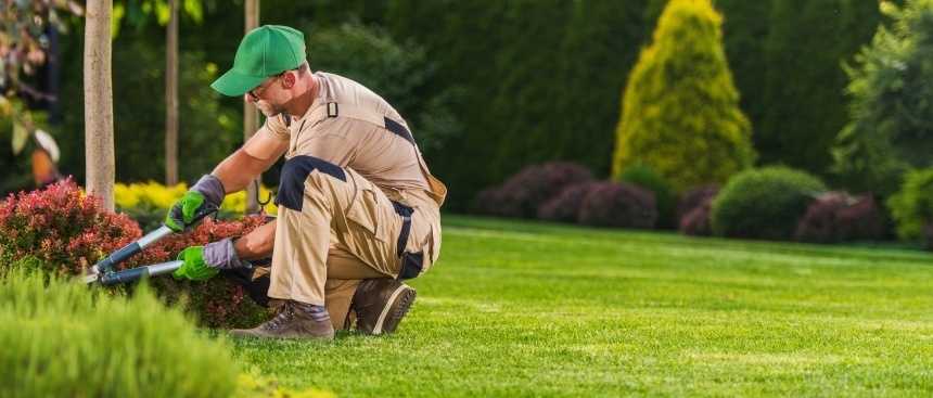 Jardinier paysagiste accroupi entretenant un massif sur une pelouse