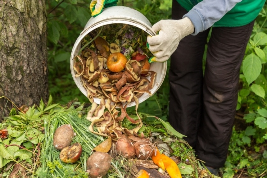 Épluchures et déchets de cuisine versés d'un seau sur un tas de compost