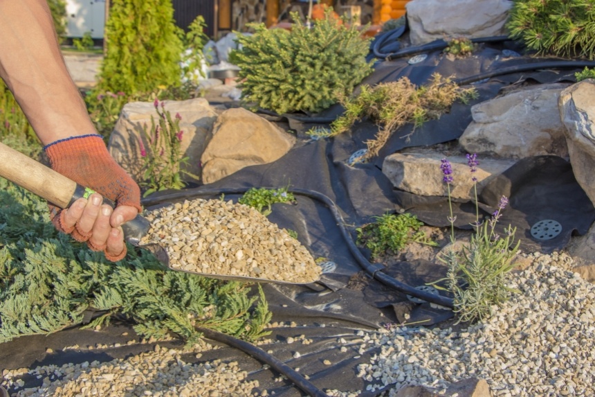Mains répandant du gravier décoratif sur une toile de paillage entre des plantes